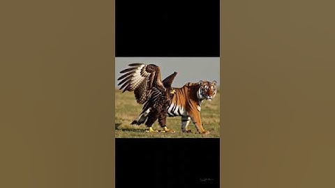 Ai Generated Fusion Batch (a new one)