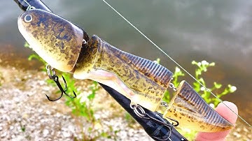 Undeveloped BullFrog Tadpole Lure | One Day Build to Catch