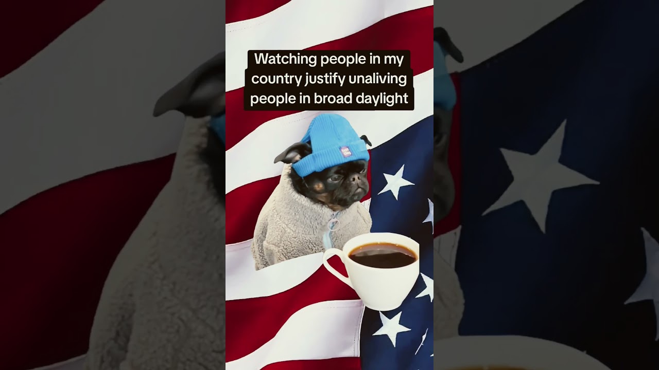 #constitutionalrights #americancitizens #learnfromhistory