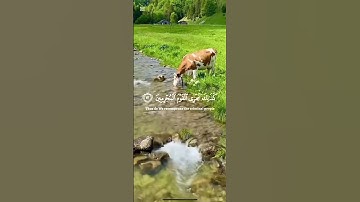 القرآن الكريم بصوت الشيخ ياسر الدوسري سورة يونس #اكسبلور