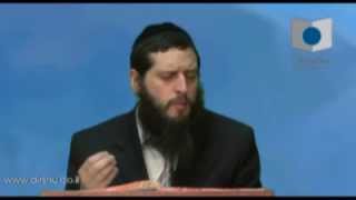 הדף היומי - מסכת עירובין דף ס"ו