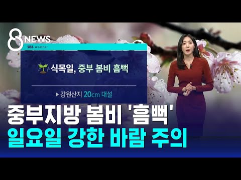 [날씨] 중부지방 봄비 '흠뻑'…일요일 강한 바람 주의 / SBS 특집 8뉴스
