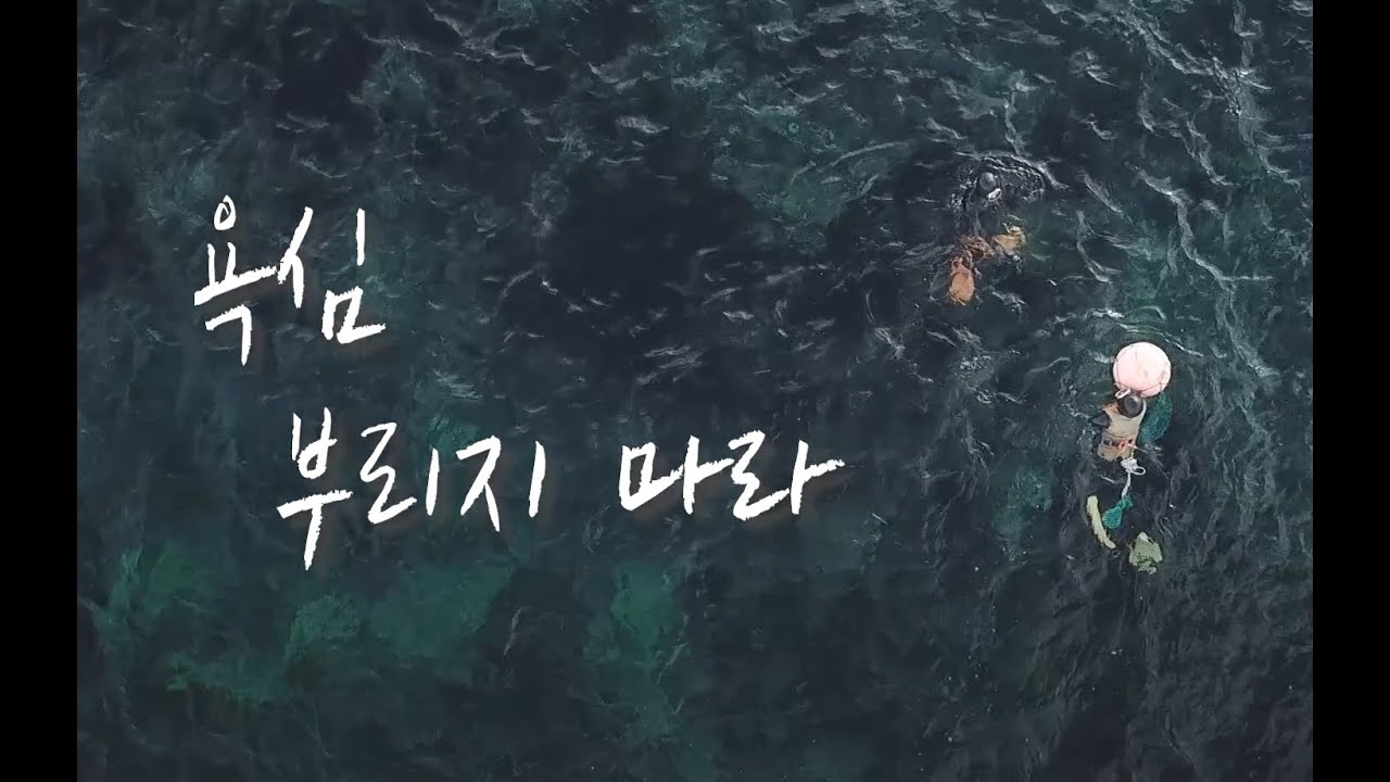 제주도 우도 최연소 해녀 