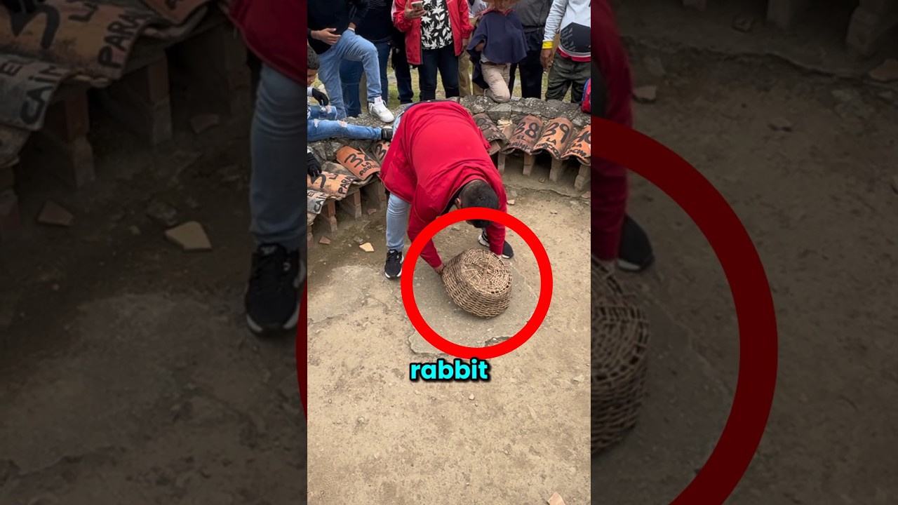 В Венесуэле… Кролик решает, кто победит 💰🐇