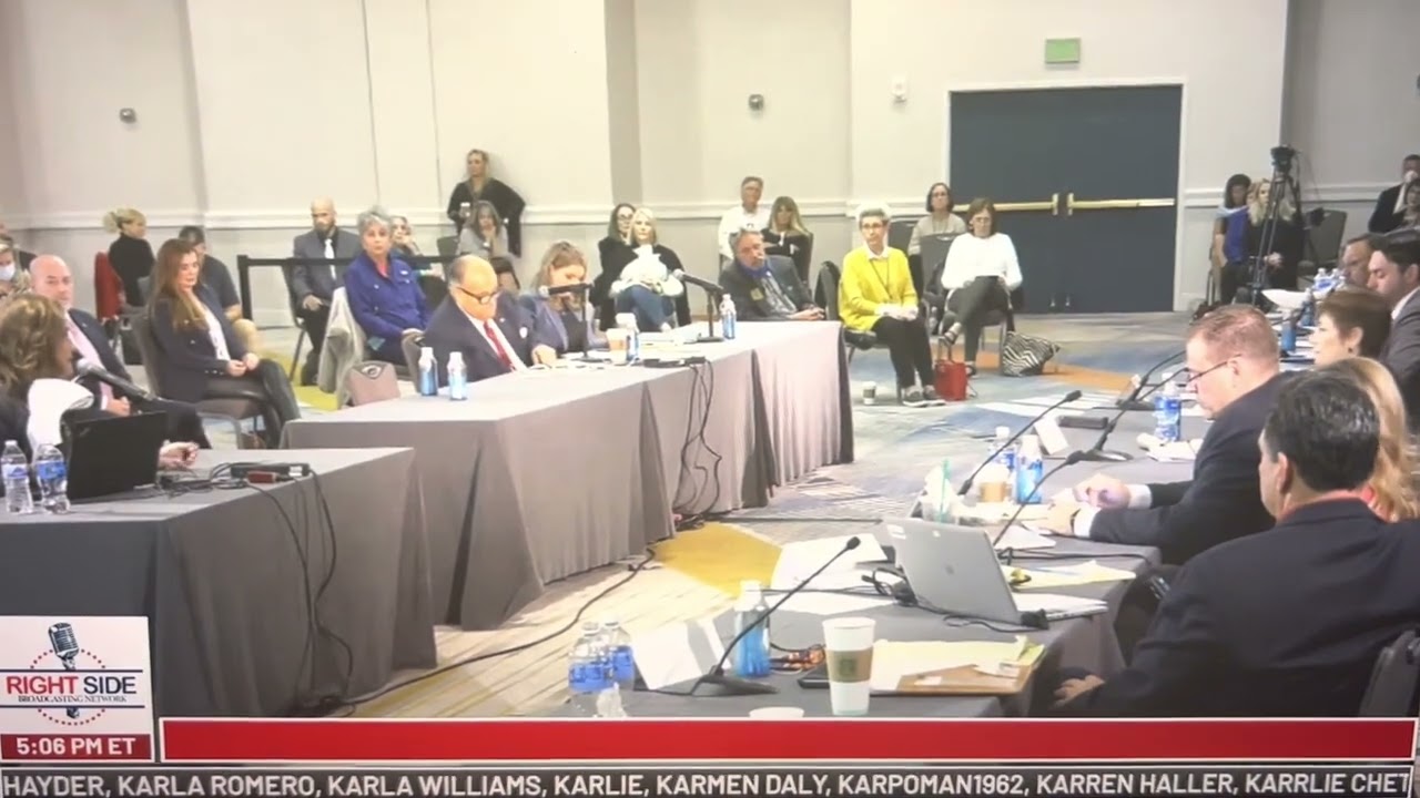 Liz Harris Discusses Her Canvass Effort in November 2020