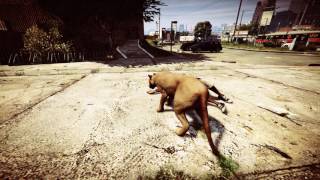 ライオンの冒険♪ screenshot 2