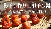 材料2つ 電子レンジでも簡単 赤紫蘇で自家製ゆかりの作り方 Youtube 材料2つ 電子レンジでも簡単 赤紫蘇で自家製ゆかりの作り方 Youtube