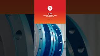 HH44 FLUORINE PLASTIC LINED CHECK VALVE-SOY