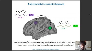 OHBM 2022 | 295 | Symposium | Alessio Basti | Multi-dimensional functional connectivity in EEG/MEG…