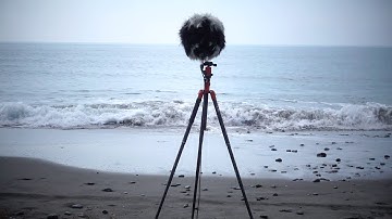 Momentai | Sonic - 20180802