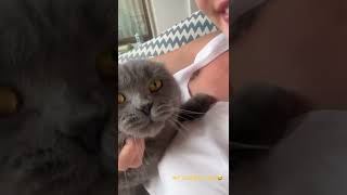 Burcu Özberk Kedisi Alf Ile Pazar Keyfi..