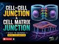 Cell Junctions In Detail | Types of Cell junction |Cell Biology Concepts Explained in Hindi | 