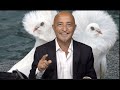 812   شورای علمای هرات و زلمی پیامبر