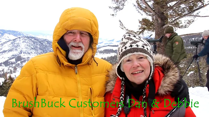 Yellowstone Wolf Tours - See the Wolves of Yellowstone National Park