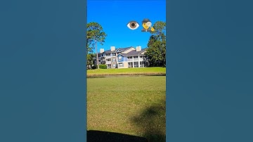 Birds Eye View  🔭 👀