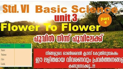 VICTERS|STD6|BASIC SCIENCE|ADISTHAANA SHAASTHRAM|UNIT3|FLOWERS TO FLOWER|POOVIL NINN POOVILEKK|PART4