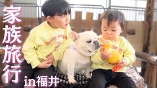A French bulldog looking bewildered by the overwhelming affection