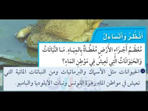 ما النباتات والحيوانات التي تعيش في موطن الماء
