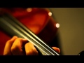My Neighbor TOTORO（となりのトトロ）Theme Song (Violin Cover)