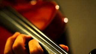 Video thumbnail of "My Neighbor TOTORO（となりのトトロ）Theme Song (Violin Cover)"