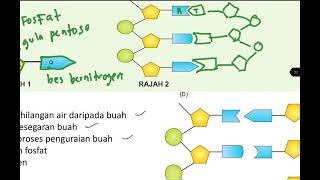 BIO T4 bab 4: latihan bab 4- komposisi kimia