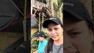 22 De Octubre De 2025