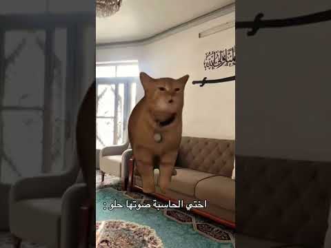 انواع الاخوان بلبيت الامام علي ع الامام الحسين ع يافاطمه شتراك و لايك