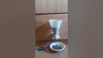 DIY Automatic Pet Feeder with Arduino #arduinoproject #viral
