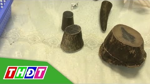 Lại bắt 4 kg sừng tế giác tại sân bay Tân Sơn Nhất | THDT