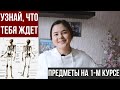 УЧЕБА В МЕДЕ| Предметы на 1 курсе| Медицинская кибернетика и биофизика