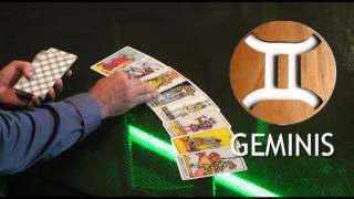 Geminis - Predicciones 2013