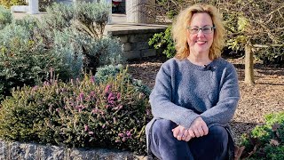 December Garden: Blooming Heath, Vibrant Berries and Red Leaves