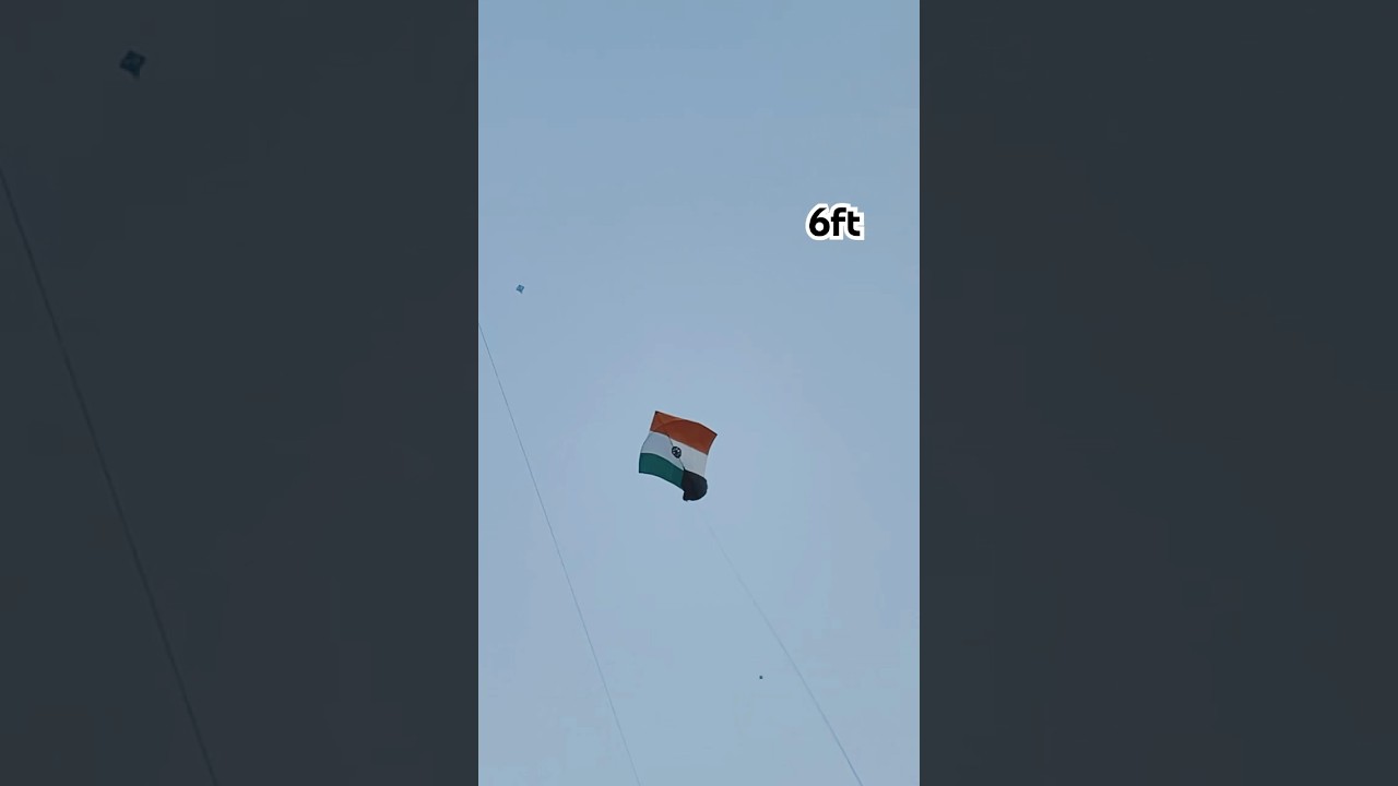 2025 basant vibes in sangrur 