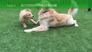 愛犬とくらす”素敵なお庭づくり”　千葉グリーンセールス株式会社