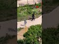 Des tirs de mortier en pleine journée à Clermont-Ferrand