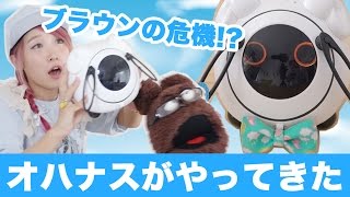 ブラウンの危機!?オハナスがやってきた!【オムニボット】 ブラウンの危機!?オハナスがやってきた!【オムニボット】