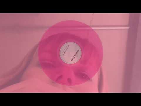 Los Bitchos — Is This Real [Official Visualizer]