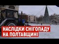 "Доведеться користуватися лижами": на Полтавщині усувають наслідки снігопаду