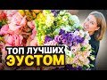 ТОП ЛУЧШИХ РАСЦВЕТОК ЭУСТОМ | Обзор красивых карликовых и срезочных для создания идеального сада