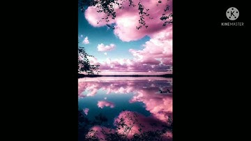 سورة الهمزة/ اسلام صبحي