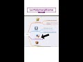 Polymorphisme en Java  Cest quoi ? #short #automatisation #selenium #cypress #playwright#QA #shorts
