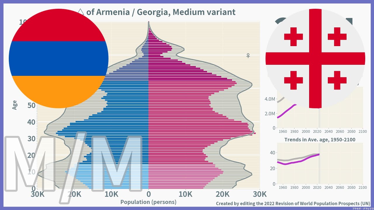 [🇦🇲Armenia vs 🇬🇪Georgia] Comparison of Population Pyramids (1950-2100 ...