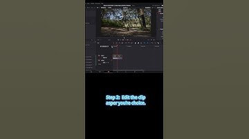 How to Create GIF’s  3 Easy Steps in DaVinci Resolve #videoediting