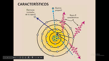 ¿Cuáles son los 4 tipos de rayos?