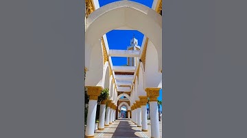 سورة النجم #travel #اكسبلور #القزابري #دويتو #المصحف #لايك #العظماء #تيك_توك #حالات_واتس #ترند