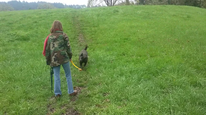 A girl and her dog