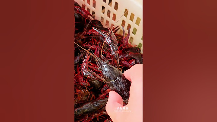 超大小龙虾🦞｜又是吃小龙虾的季节 ｜金汤小龙虾｜蒜泥小龙虾｜十三香小龙虾015#龙虾养殖#油管赚钱 #youtube赚钱 #抖音拍摄  #beautiful #小龙虾#剪映#抖音运营#短视频拍摄