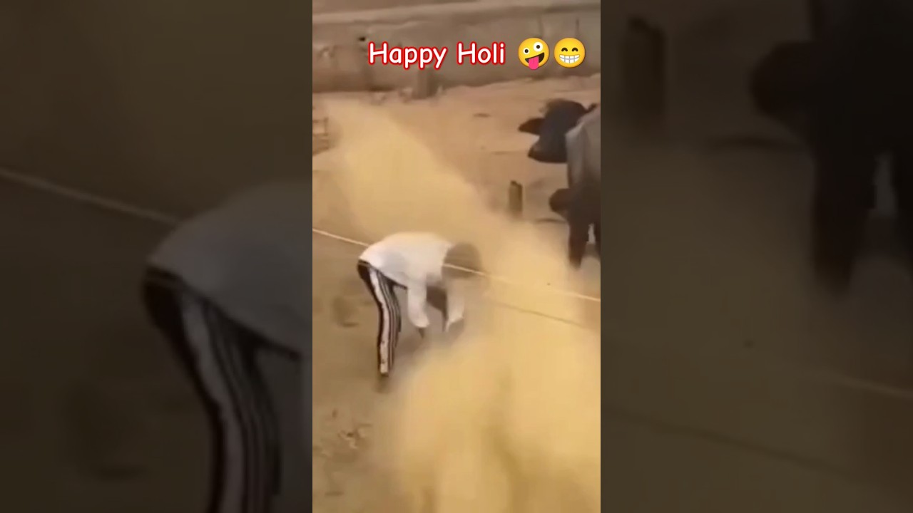 Holi 🤪😁 