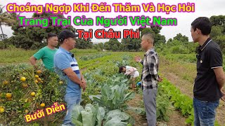 Đông Paulo || Choáng Ngợp Khi Vượt Quãng Đường Xa Đến Thăm Và Học Hỏi Cách Làm Trang Trại Của …