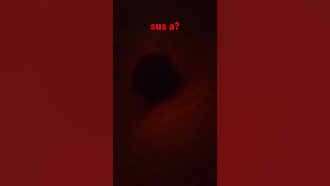 uuuu - YouTube